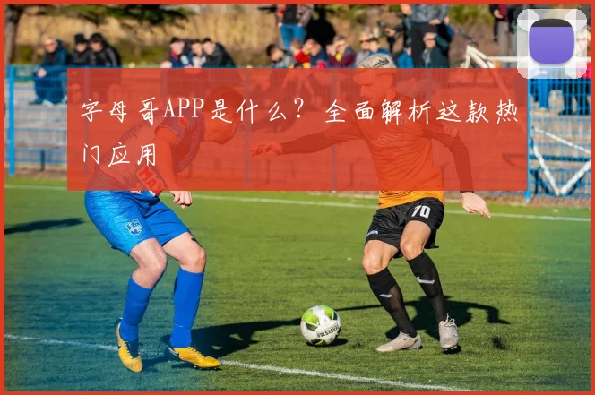 字母哥APP是什么？全面解析这款热门应用