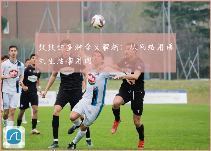 鼓鼓的多种含义解析:从网络用语到生活常用词