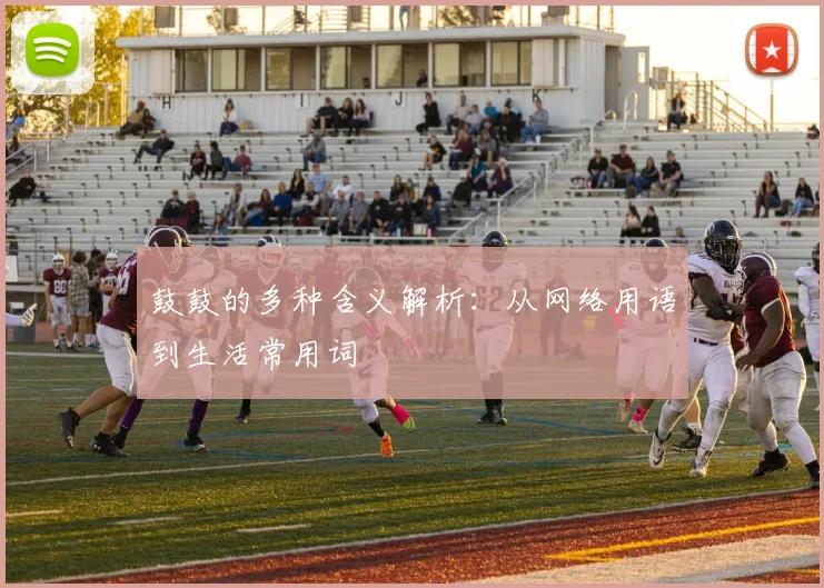 鼓鼓的多种含义解析：从网络用语到生活常用词